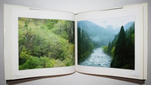 Maeda, Shinzo. A Tree, A Blade of Grass - 1985 FIRST EDITION - JAPAN