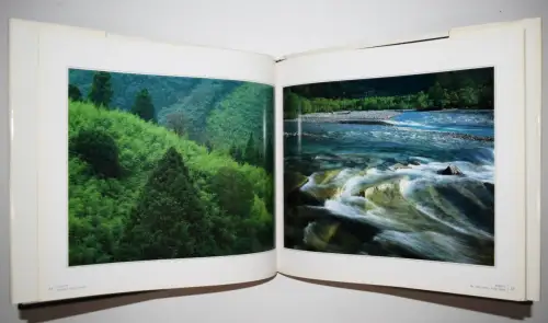 Maeda, Shinzo. A Tree, A Blade of Grass - 1985 FIRST EDITION - JAPAN