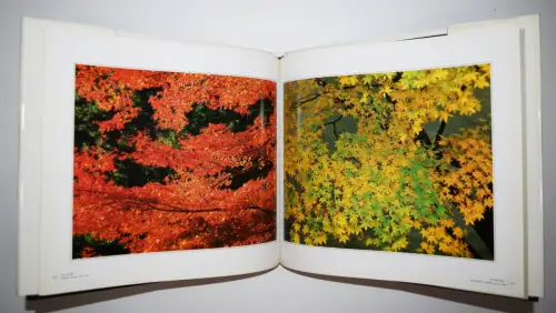 Maeda, Shinzo. A Tree, A Blade of Grass - 1985 FIRST EDITION - JAPAN