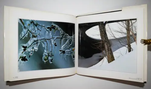 Maeda, Shinzo. A Tree, A Blade of Grass - 1985 FIRST EDITION - JAPAN