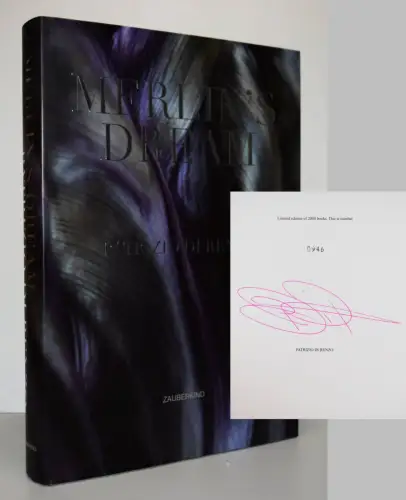 Di Renzo, Merlin’s Dream - 2010 - SIGNIERT NUMMERIERT 1/2000