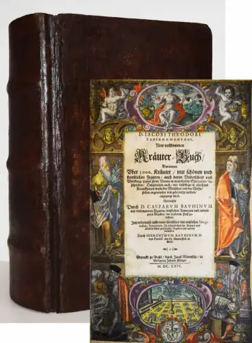 Tabernaemontanus - Kräuter-Buch 1664 KRÄUTERBUCH KREUTERBUCH KRÄUTER