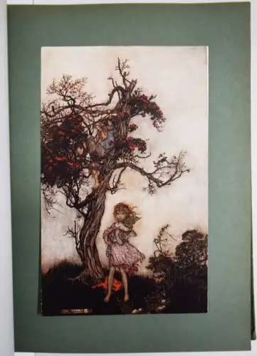 Irving, Washington. Rip van Winkle 1906 - Arthur Rackham ART NOUVEAU