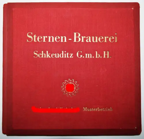RAUMBILD-ALBUM Sternen-Brauerei Schkeuditz 1939 BIER - STEREO-PHOTOGRAPHIE