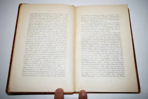 Weigand, Friedrich Nietzsche - 1893