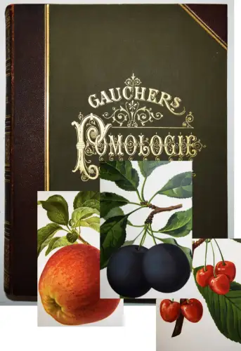 Gaucher, Pomologie des praktischen Obstbaumzüchters 1894 SEHR SCHÖNES EXEMPLAR !