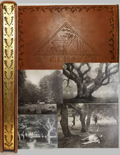 Werner, Dyrehaven og Jaegersborg 1919 PICTORIALISMUS DÄNEMARK JAGD  LUXUSAUSGABE