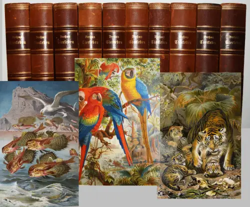 Brehm, Brehms Tierleben 1890-1893 ZOOLOGIE ORNITHOLOGIE ICHTHYOLOGIE ENTOMOLOGIE
