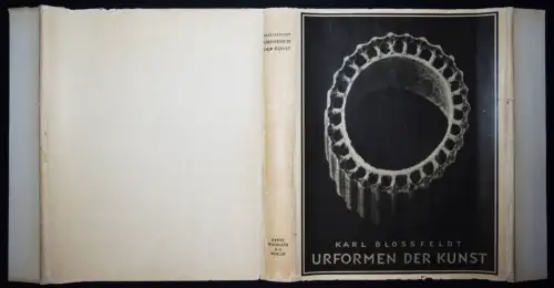 Blossfeldt, Karl. Urformen der Kunst. ERSTE AUSGABE - SCHÖNES EXEMPLAR !