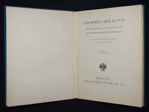 Blossfeldt, Karl. Urformen der Kunst. ERSTE AUSGABE - SCHÖNES EXEMPLAR !