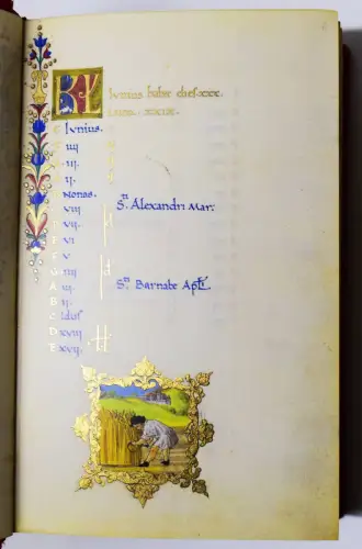 Das Gebetbuch Lorenzos de’ Medici 1485 LUXUS-EXKLUSIV-AUSGABE GOLD-PRUNKEINBAND
