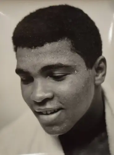 Ali, Muhammad. Orig.-Porträtphotographie. London 1966 GROSSFORMAT !! - BOXING