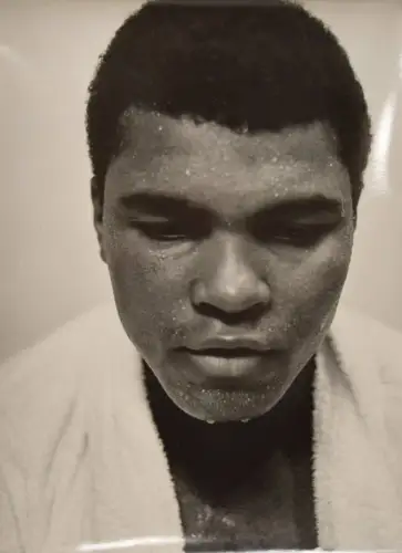 Ali, Muhammad. Orig.-Porträtphotographie. London 1966 GROSSFORMAT !! - BOXING