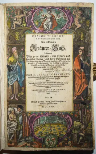 PRÄCHTIGES KRÄUTERBUCH 1664 HANDKOLORIERT Tabernaemontanus - KREUTERBUCH BOTANIK