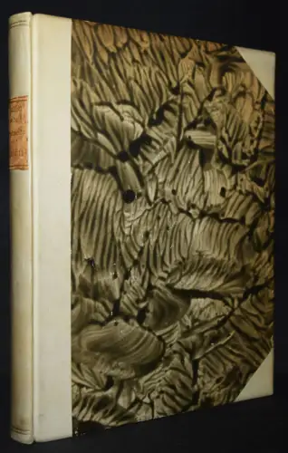 Walther von der Vogelweide. Gedichte. Kurt Wolff 1913 ERSTE AUSGABE PRESSENDRUCK