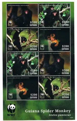 WWF Affen Kleinbogen Guyana