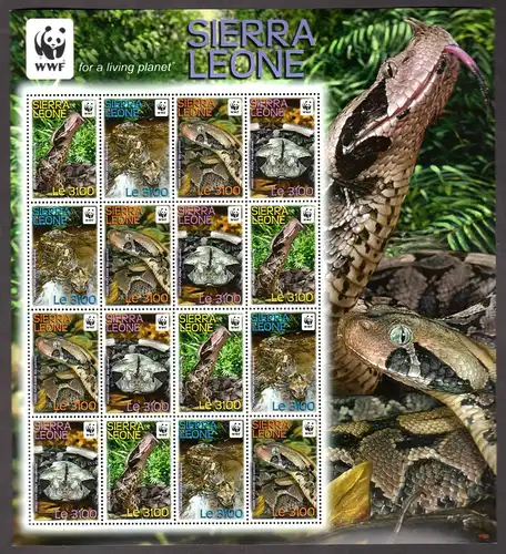 WWF Sierra Leone Kleinbogen Schlangen