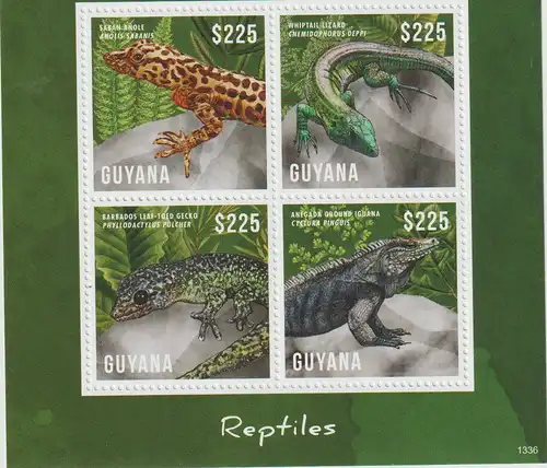 Guyana: Reptilien  Kleinbogen und Block