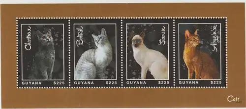 Guyana: Katzen  Kleinbogen und Block