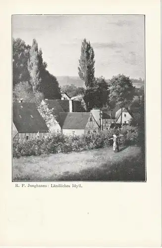 DR Privatganzs. PP 11 "Ländliches Idyll" (ungültiger Wertstempel)