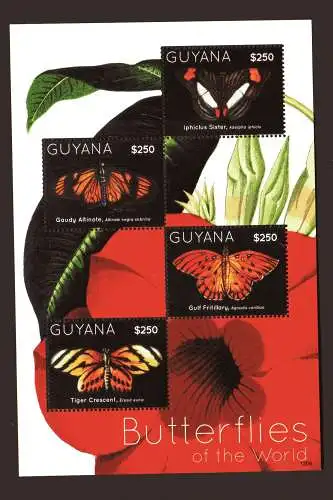 Guyana Kleinbogen Butterflies of the World 