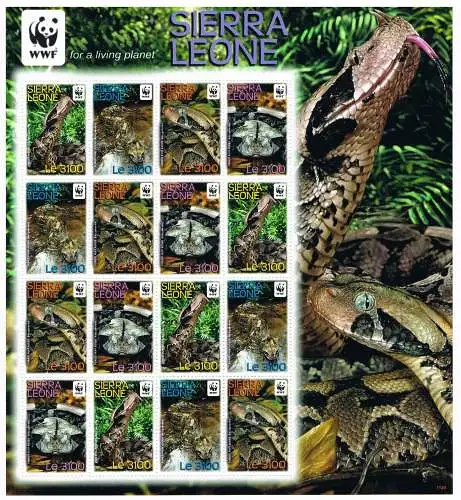 WWF Schlangen Kleinbogen Sierra Leone