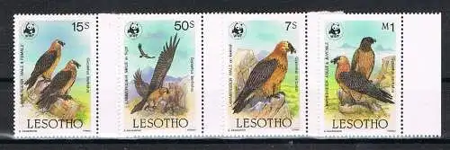 Lesotho: WWF Raubvögel