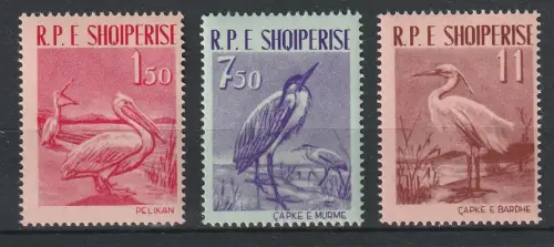 Albanien: Vögel (1961), postfrisch