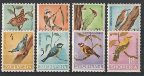Albanien: Vögel (1964), postfrisch