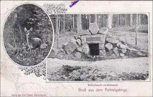 Bayern: 1909, Postkarte Bischofsgrün -Neuenmarkt Ochsenkopf