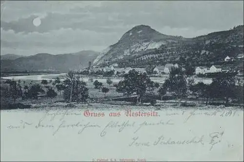 Ansichtskarte AK: Gruss aus Nestersitz /Oberwiesental 1898