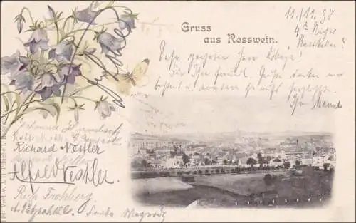 1898 Carte AK: Grousse de vin de Ross