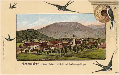 Ansichtskarte AK: Niederaudorf/Kaisergebirge / Schwalben/Vögel