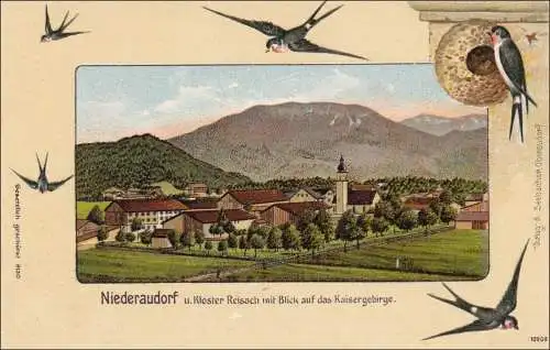 Ansichtskarte AK: Niederaudorf/Kaisergebirge / Schwalben/Vögel