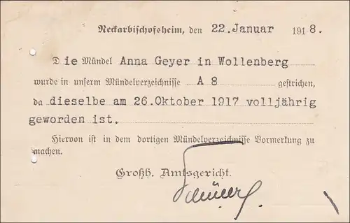 Amtsgericht Neckar-Bischofsheim 1918 nach Wollenberg