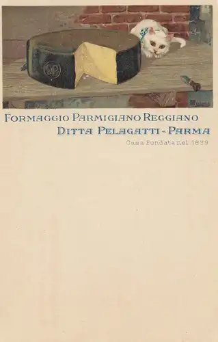 Italie: Carte de visite du Parme du Chat au fromage: Fromaggio Parmigiano