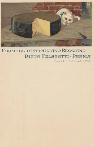 Italien: Ansichtskarte Käse-Katze-Parma: Fromaggio Parmigiano