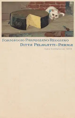Carte de vue Parma Esportazione Formaggio: Chat et fromage