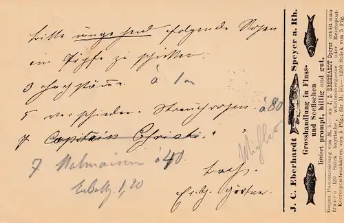 1885: Sigmaringen Ganzsache nach Neu Ulm, Rückseite: Fische