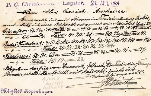 Dänemark: 1924: Postkarte Logstor nach Arnheim
