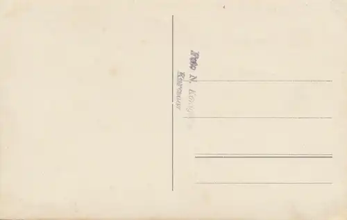 Estonie: 1928 Carte de vue Avamine