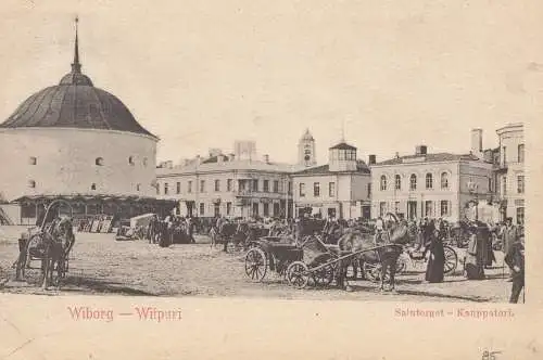 Finlande: 1902 Carte de vision Wiborg