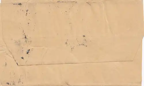 Angleterre: Bande entière de perfins à Sydney