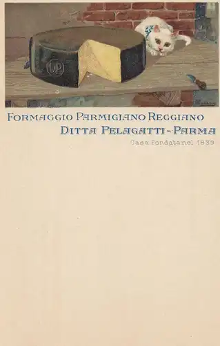 Italie: Carte: Formaggio Parmigiao Reggiano - Parme: Chat/Fromage