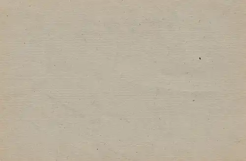 Jugoslawien: Formular - Überdruck-schräg