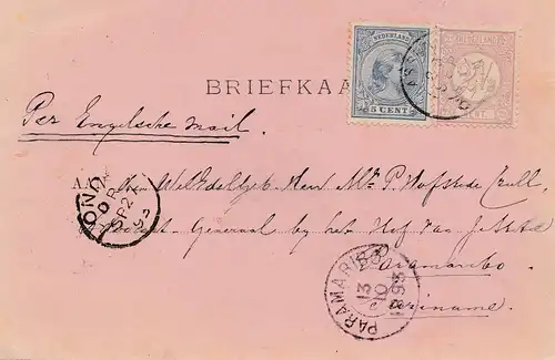 Pays-Bas: 1893: Briefkaart vers Paramaibo