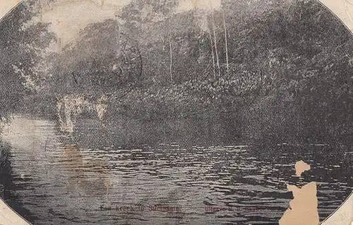 Pays-Bas: 1928: Briefkaart - Imprimer après Shanghai