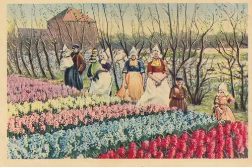 Niederlande: 1957 Ansichtskarte nach Belgien: Dutsch Flowers