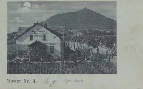 Niederlande: 1903: Levelezö Lap: Middel Burg nach Sneek - Ansichtskarte