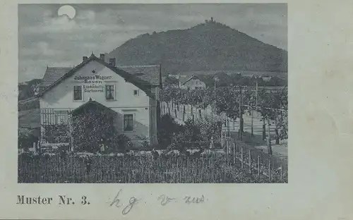 Pays-Bas: 1903: Levelezö Lap: Middel Burg vers Sneek - carte de vue